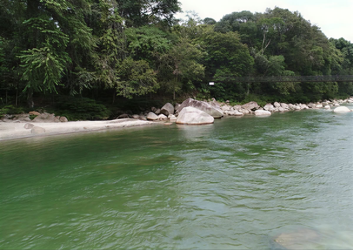 5-daagse ayahuasca-retreat in Ecuador