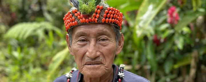 5-daagse ayahuasca-retreat in Ecuador