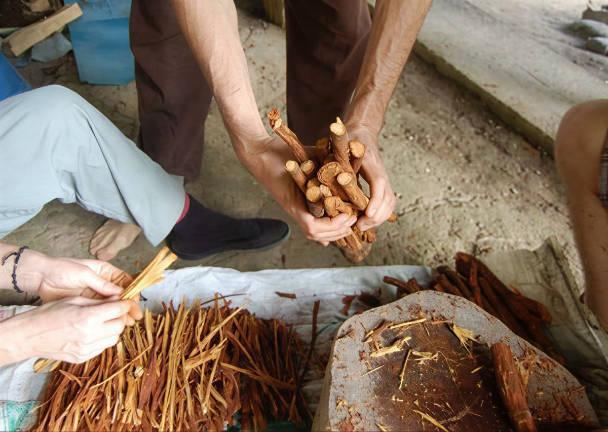 Ayahuasca-ceremonie in Ecuador