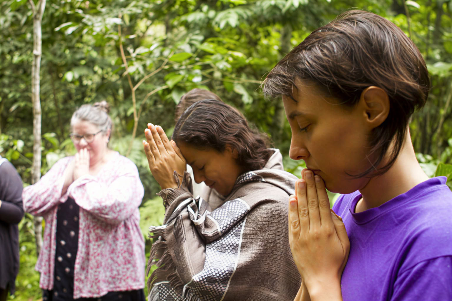 14 dagen – Ayahuasca- en meesterplantdieta voor vrouwen