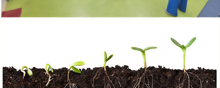 Meditatieschool – 6. Herkenning van emoties en energie