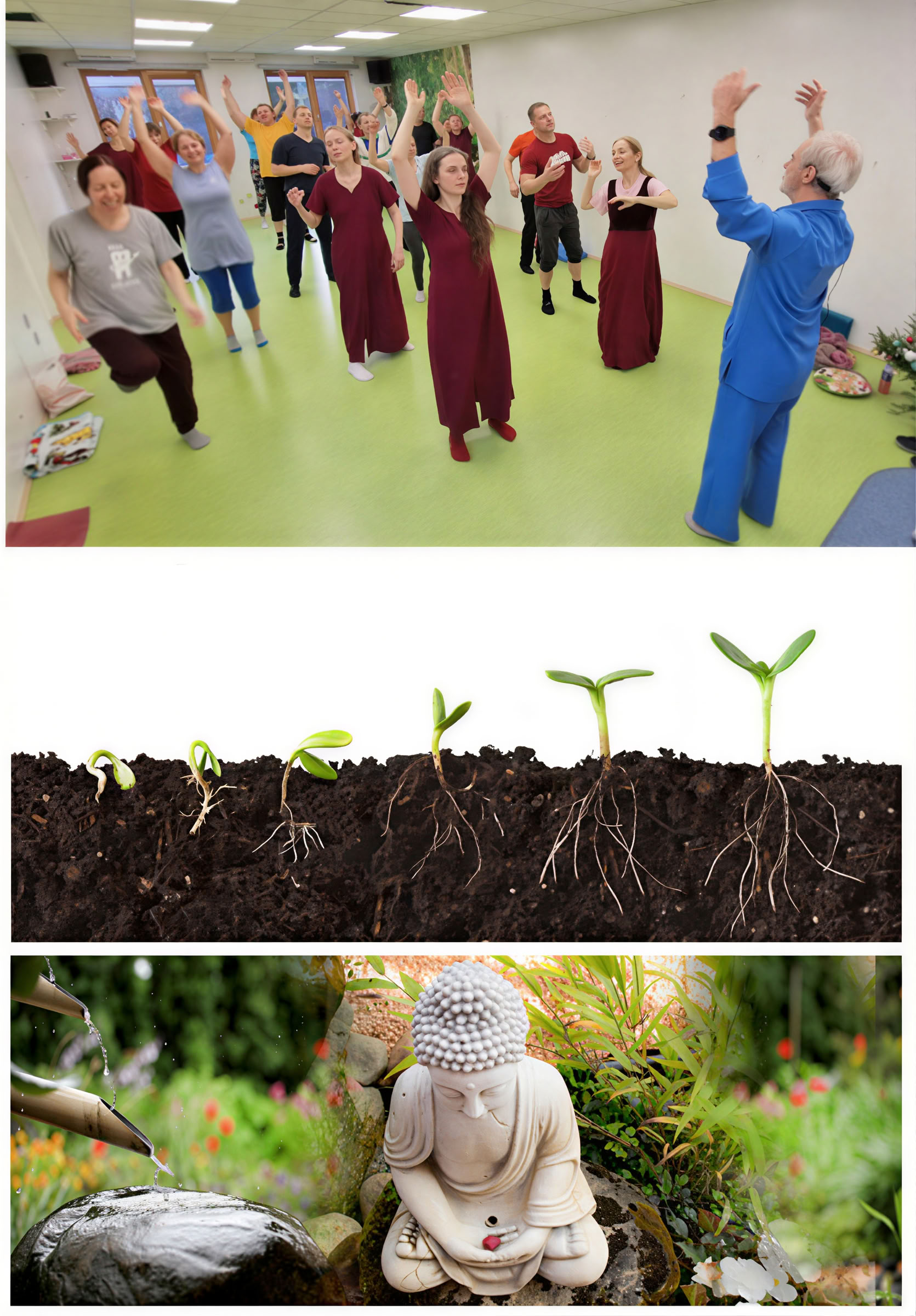 Meditatieschool – 8. Meditatie - Eenheid van lichaam, geest en ziel