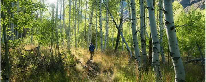 Hart van de Berg-sesshin: een wandel-sesshin in het Bells Mountain Dharma Center