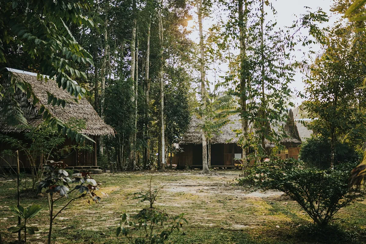 Ayahuasca-transformatieretraite