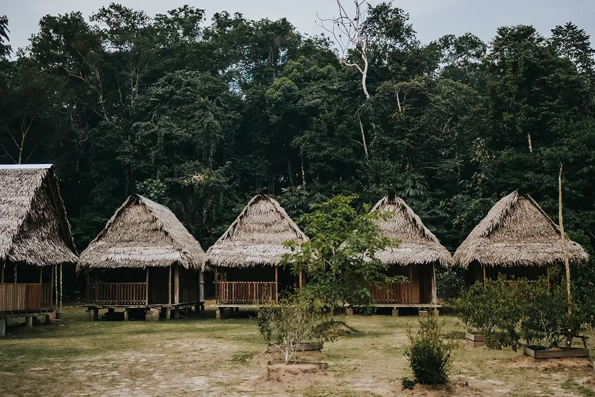 Ayahuasca-transformatieretraite