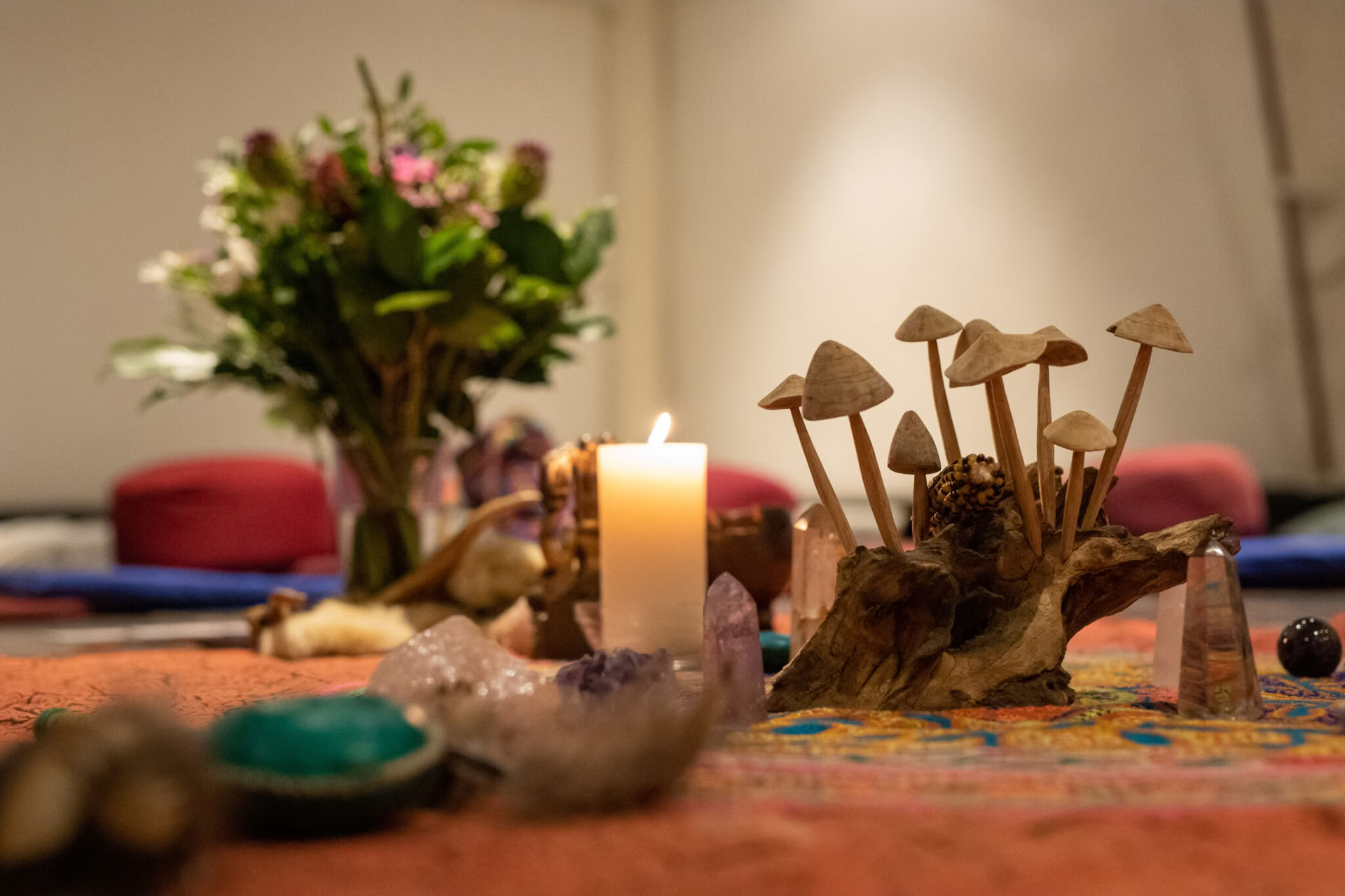 Inwardbound 3-daagse privé-groepspsilocybine-retraite in Nederland voor psychologen en psychotherapeuten