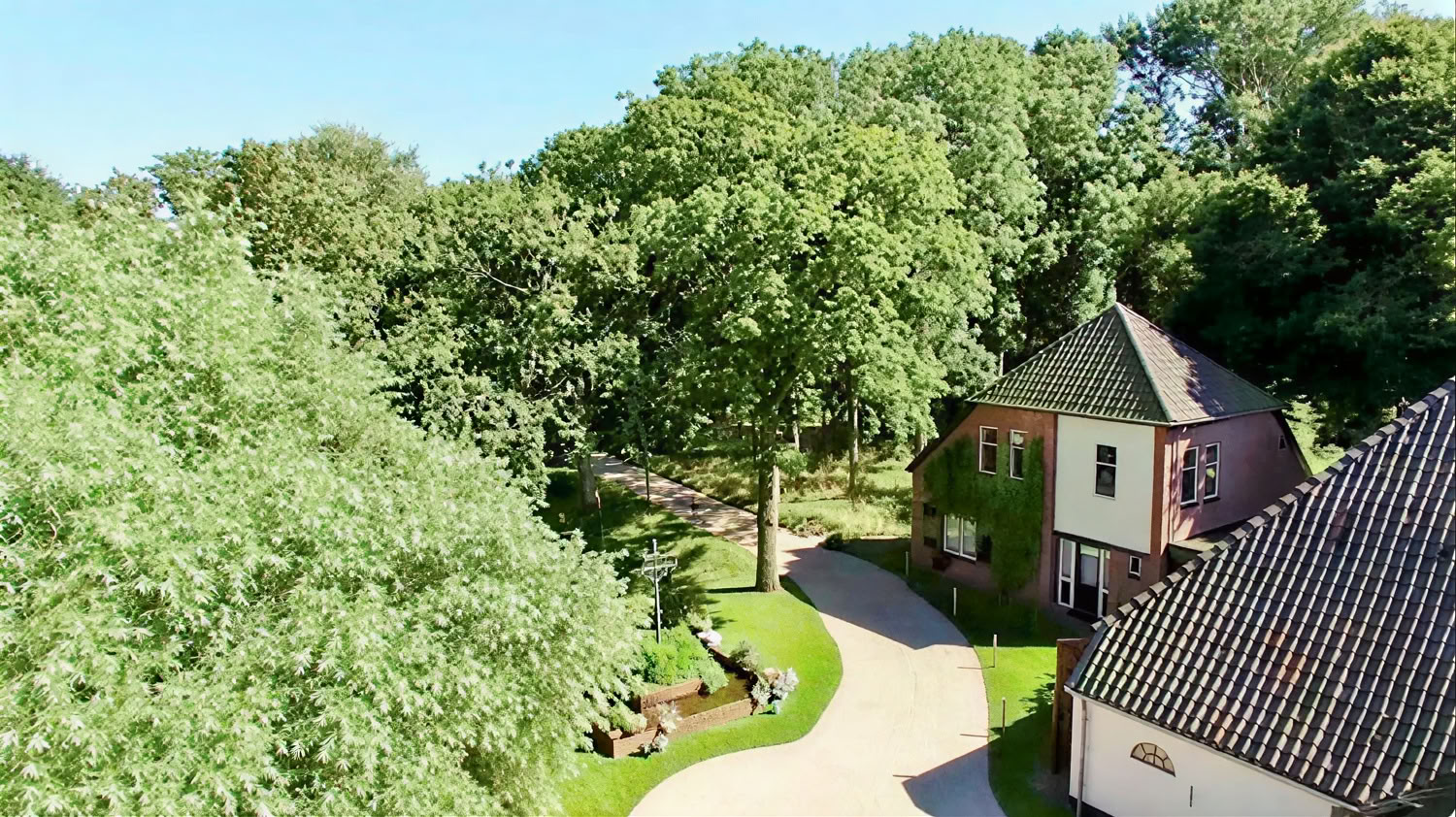 Privé psilocybine-retreat: 4 dagen, 2 psilocybine-sessies