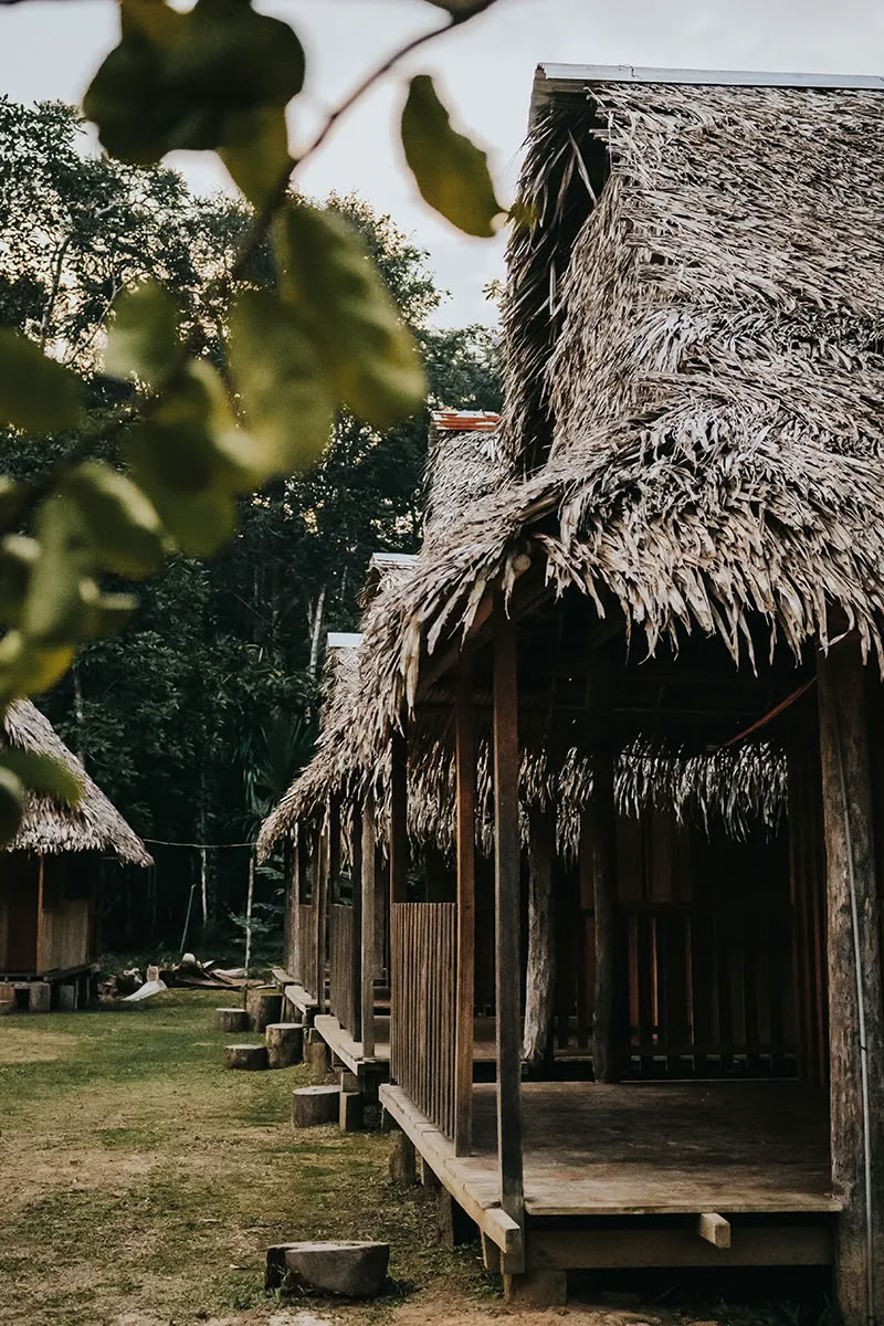 11-daagse Ayahuasca-retraite in Peru – 12-22 augustus 2026 | Shipibo-genezing & integratie