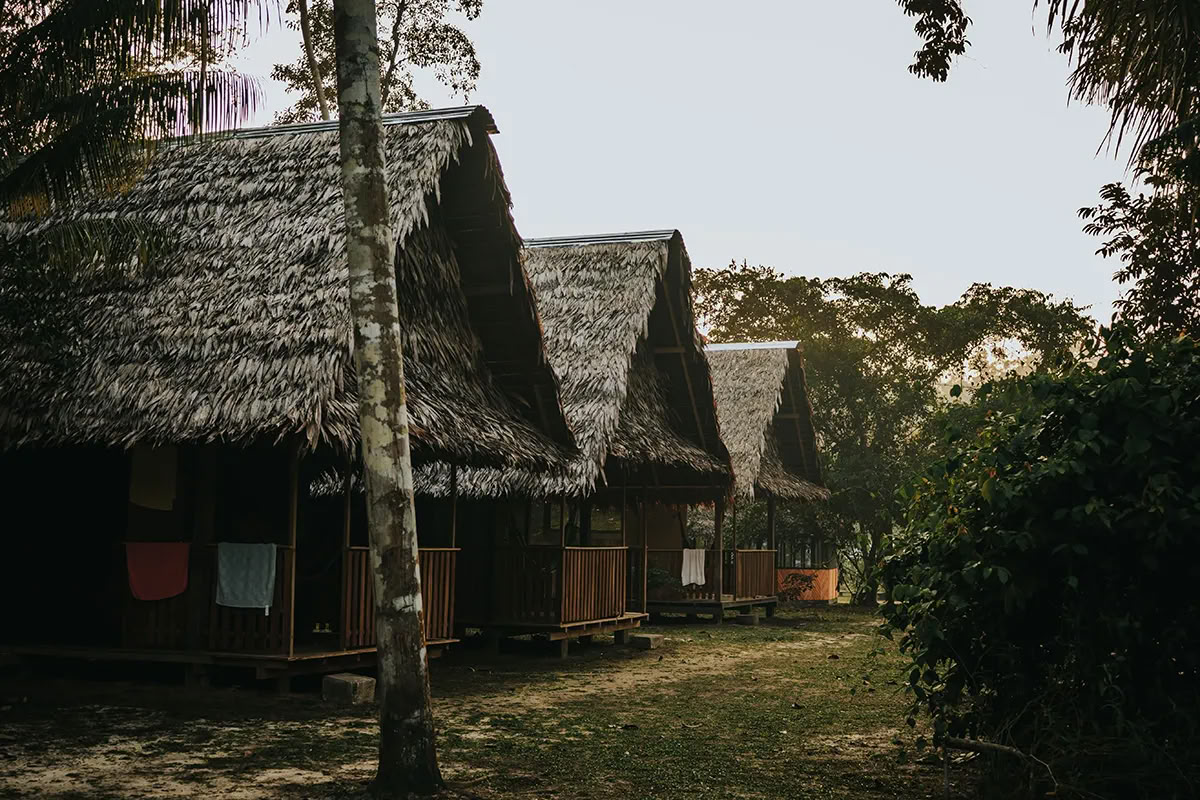 11-daagse Ayahuasca-retraite in Peru – 12-22 augustus 2026 | Shipibo-genezing & integratie