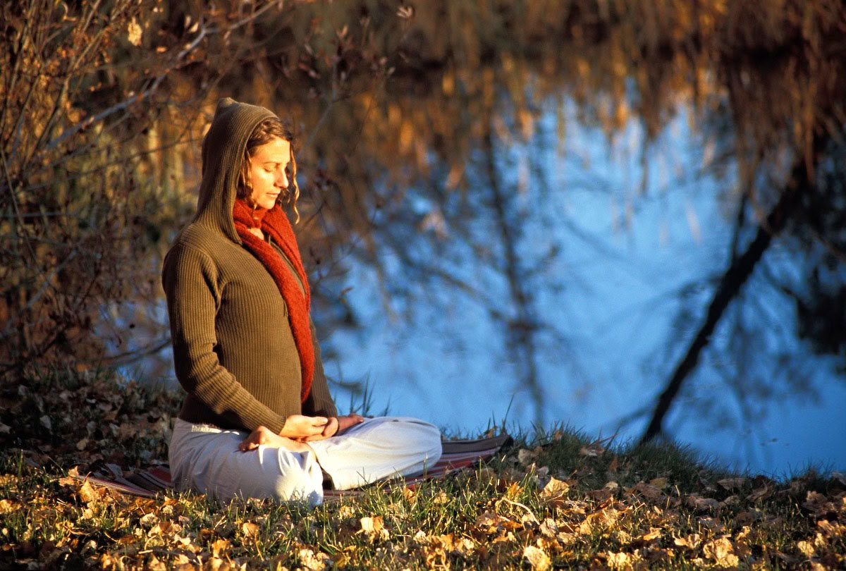 Wortels van Veerkracht: Yoga & Het Werk dat Verbindt