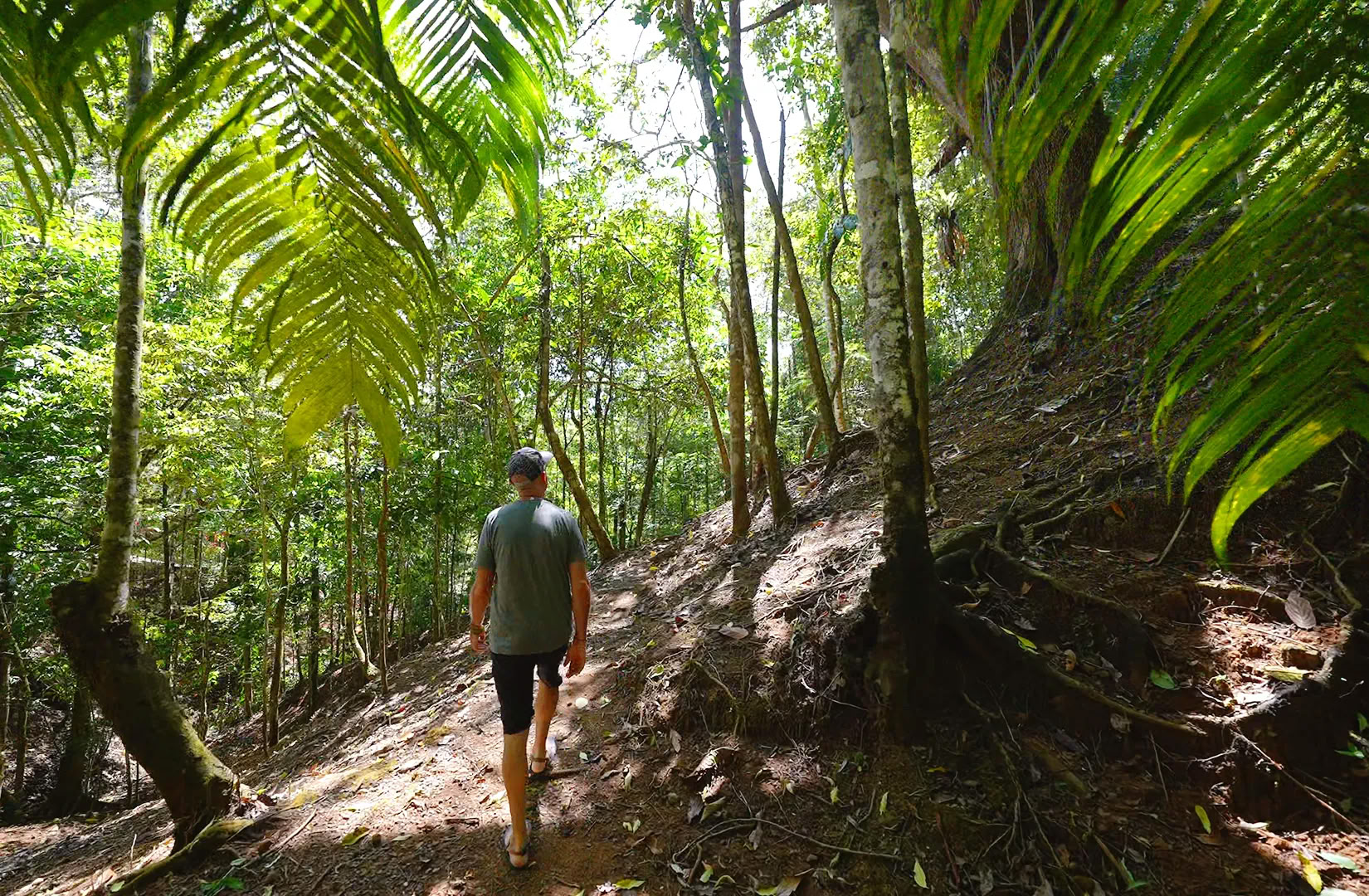 5-Nachten Ayahuasca Retreat