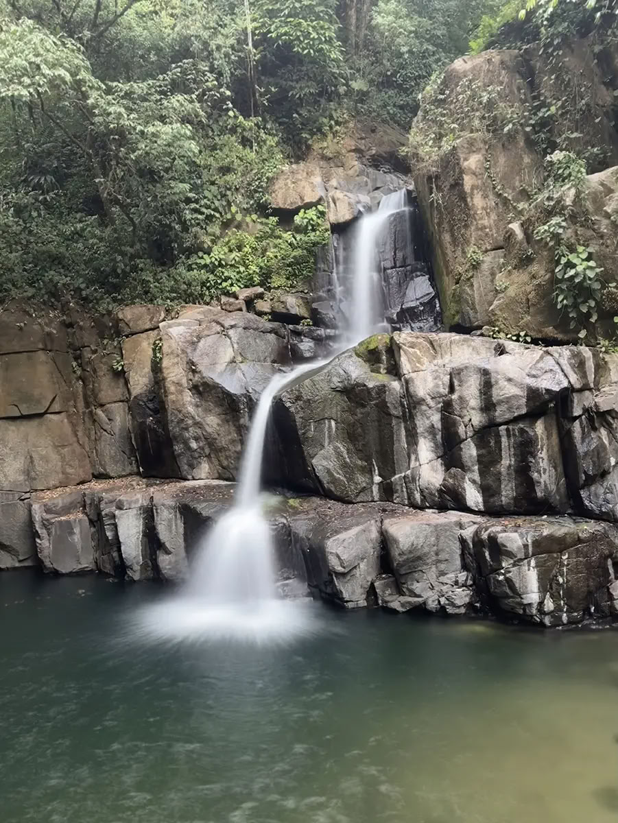 5-Nachten Ayahuasca Retreat