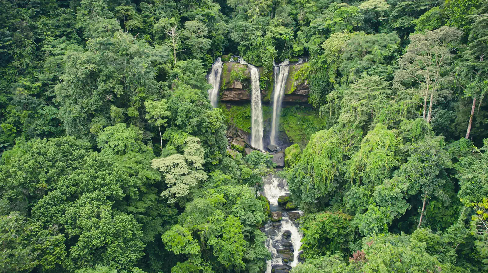 5-Nachten Ayahuasca Retreat