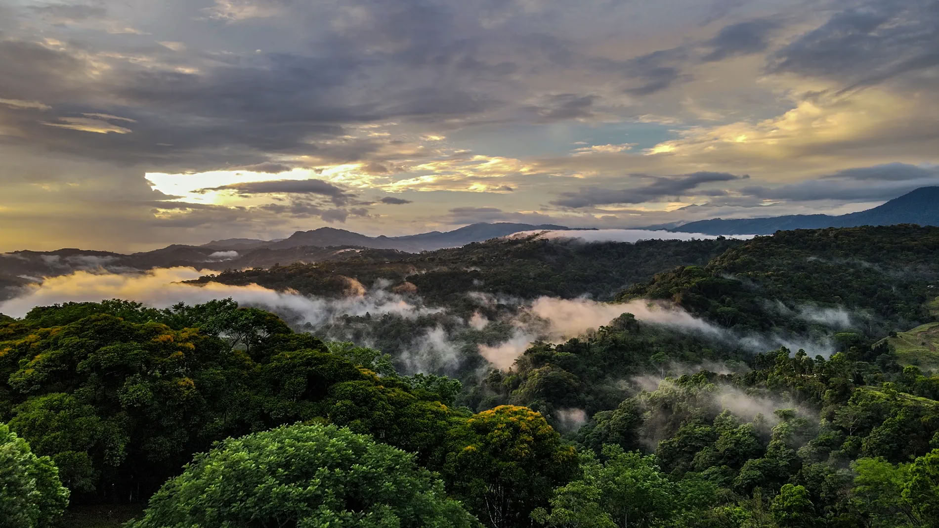 5-Nachten Ayahuasca Retreat