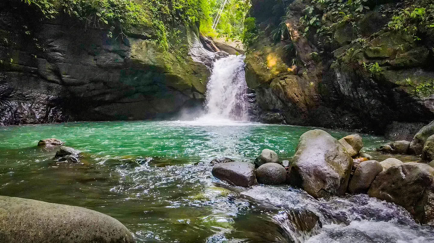 5-Nachten Ayahuasca Retreat