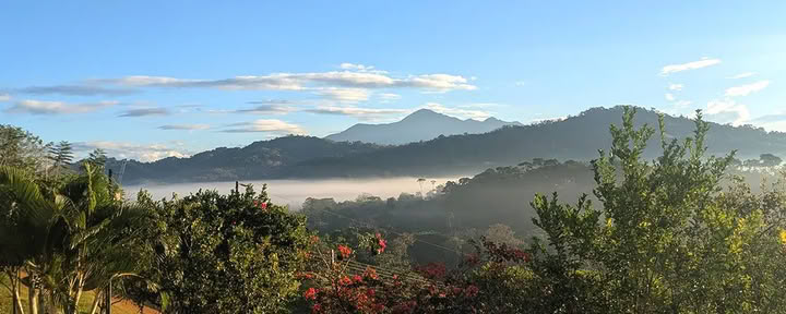 5-Nachten Ayahuasca Retreat