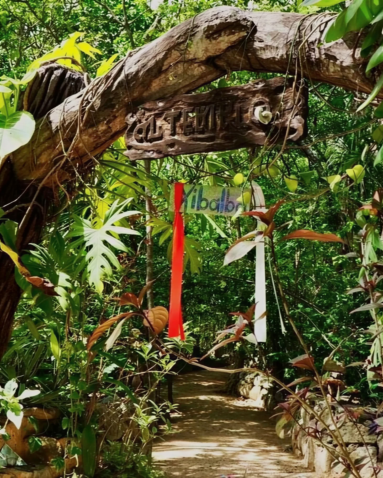 Ayahuasca-retreat, Mexico