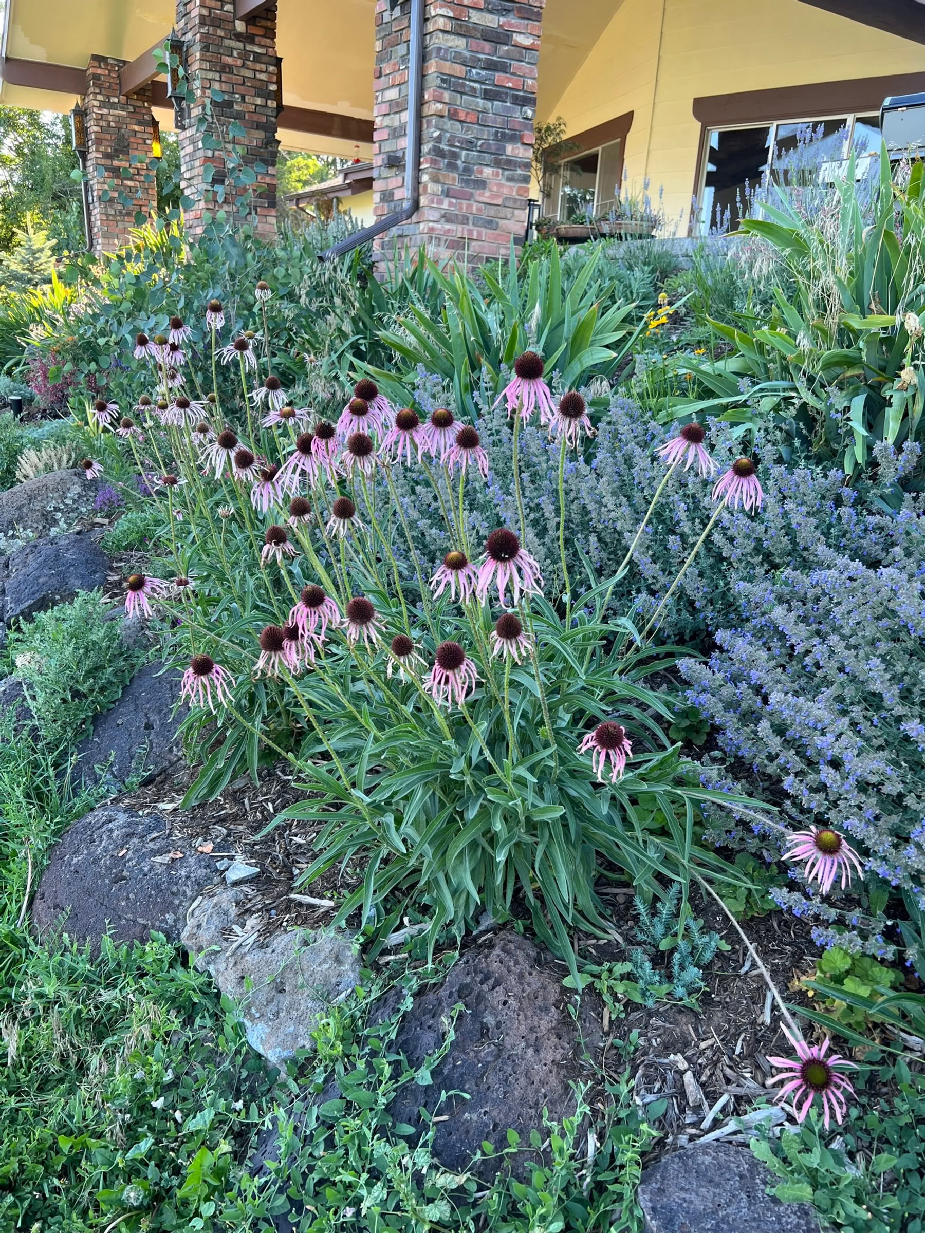 Ademwerkretreat in Colorado