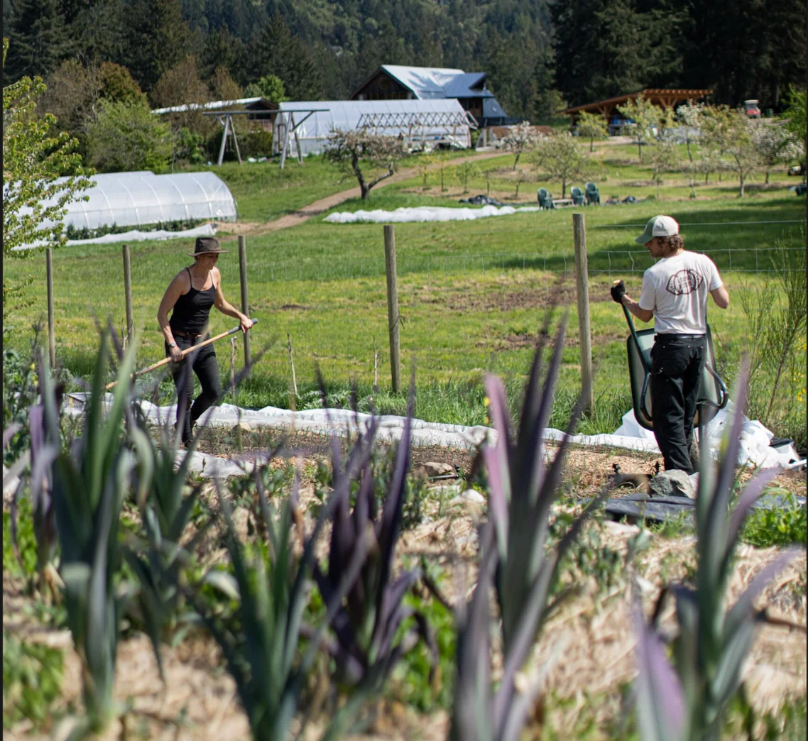 De Tuin Voorbereiden Op Het Volgende Seizoen — Stowel Lake Farm