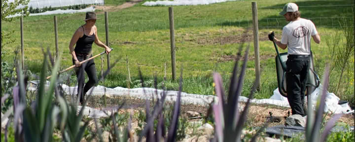 De Tuin Voorbereiden Op Het Volgende Seizoen — Stowel Lake Farm