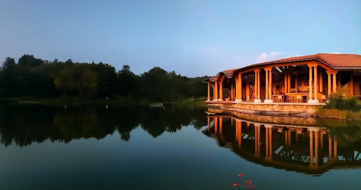 4-daagse Bufo- en psilocybinepaddenstoelenretreat