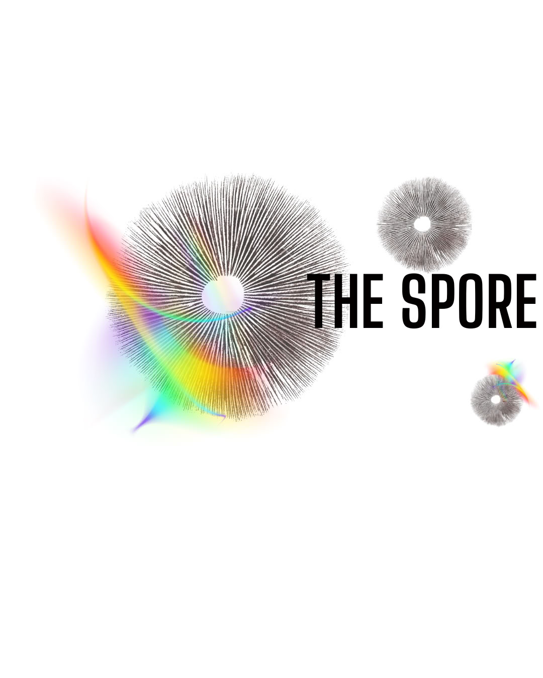 De Sporen-Inzichtsraad