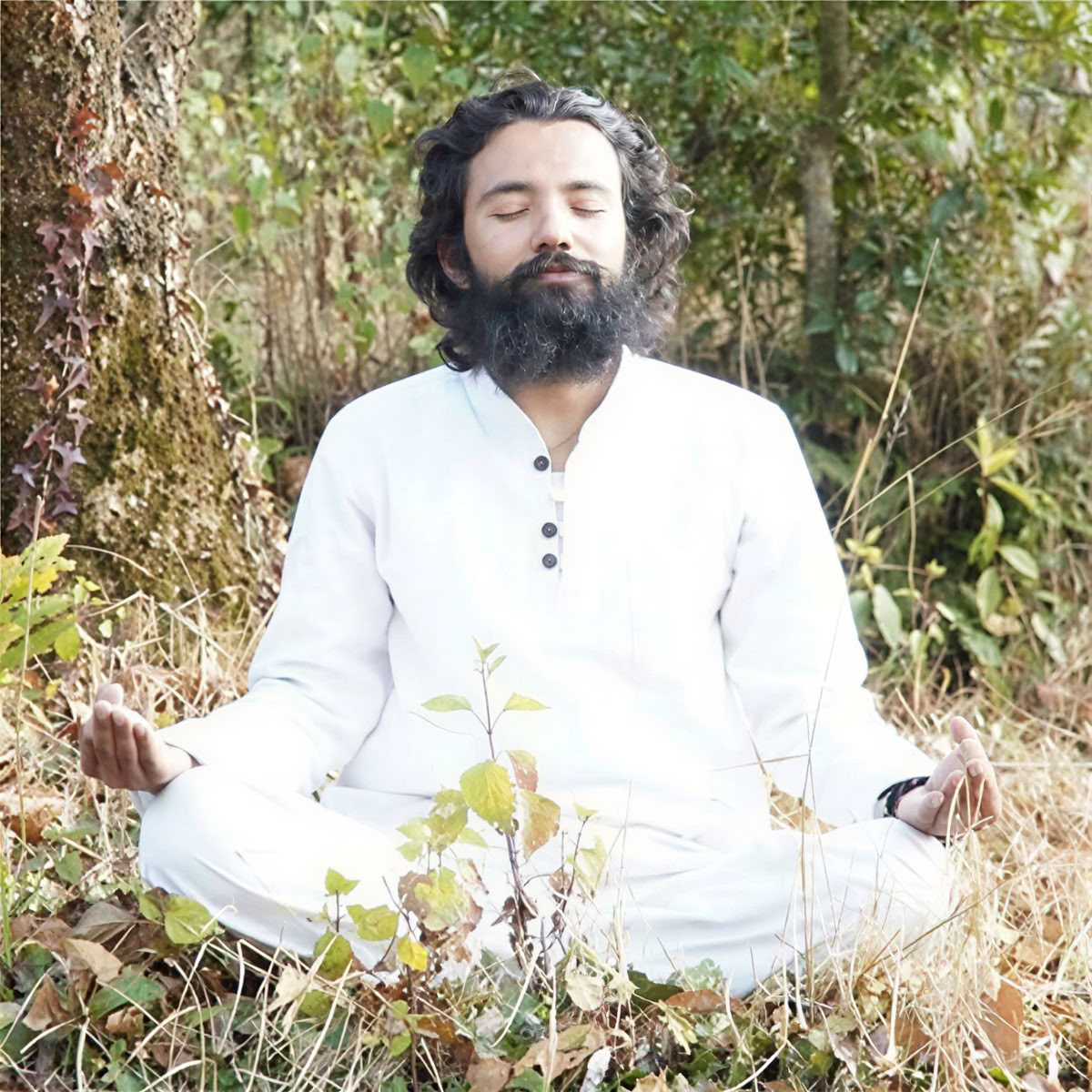 200-uurs yogadocentenopleiding in Nepal - 22 dagen - 01 jun - 22 jun 2026