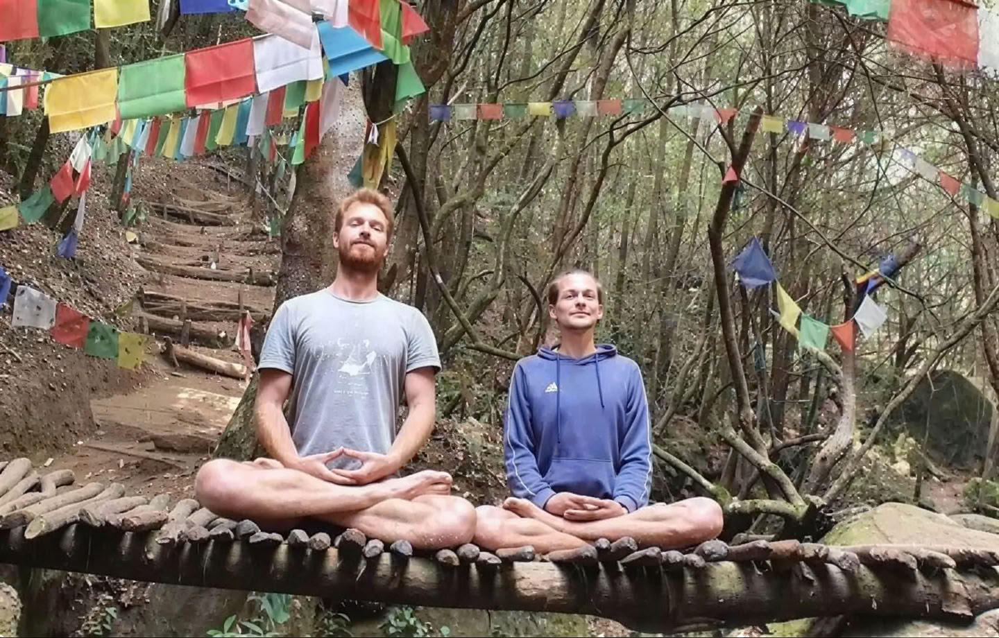 Professionele meditatiecursus