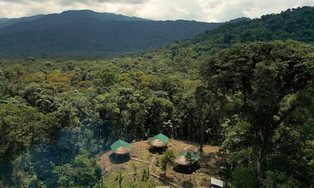 Ayahuasca-inwijdingsretraite: 7- en 14-daags – 10-31 januari 2027