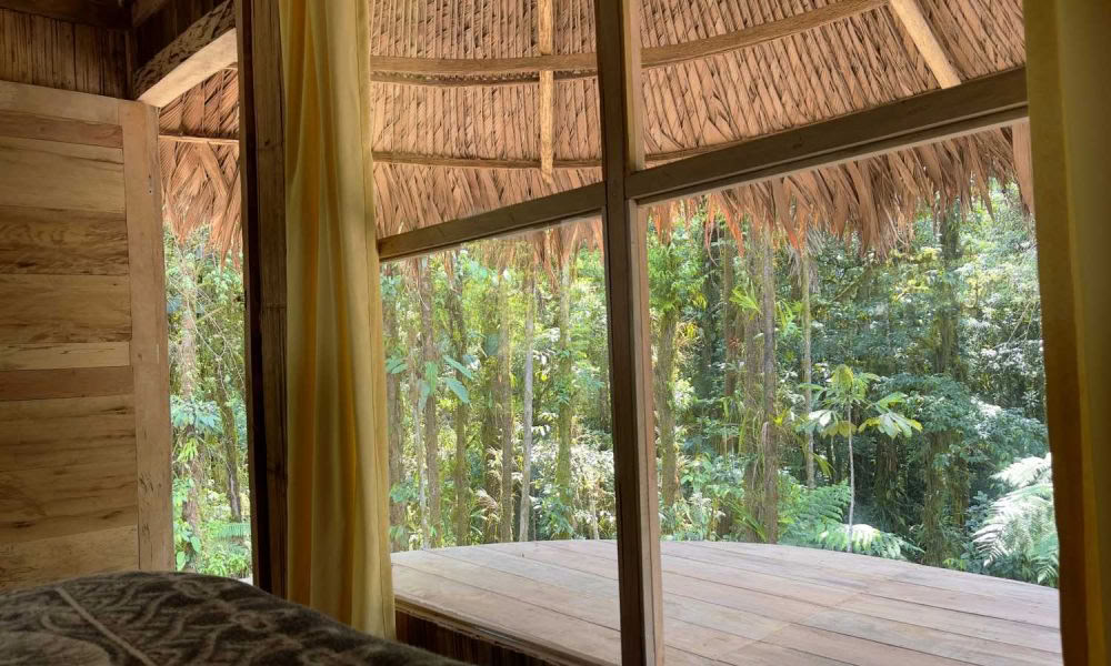 Ayahuasca-inwijdingsretraite: 7- en 14-daags – 10-31 januari 2027
