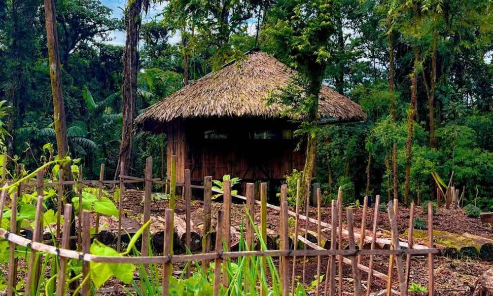 Ayahuasca-initiatieretraite: 7 en 14 dagen – 3-24 februari 2027