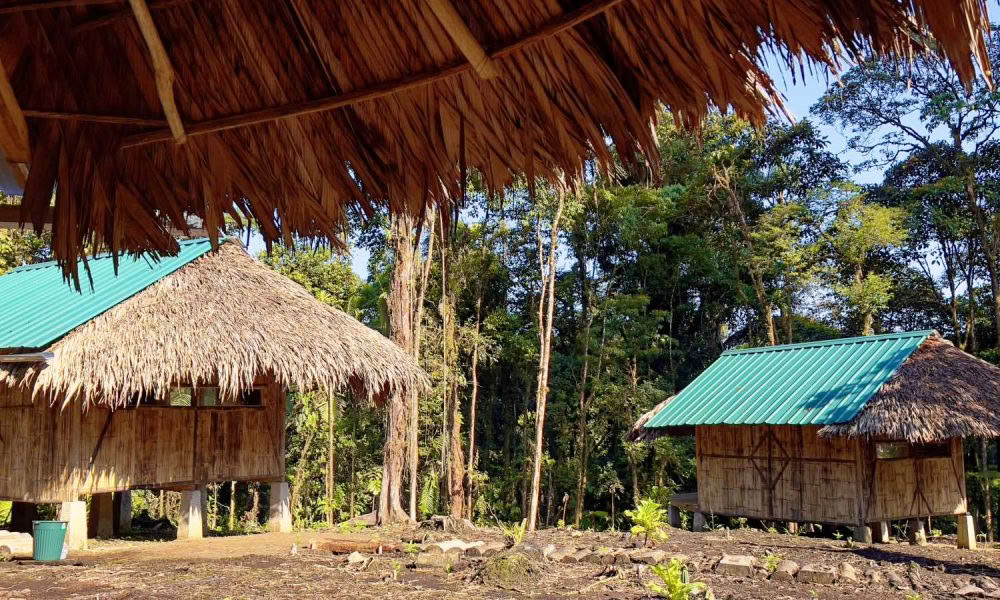 Ayahuasca-initiatieretraite: 7 en 14 dagen – 3-24 februari 2027