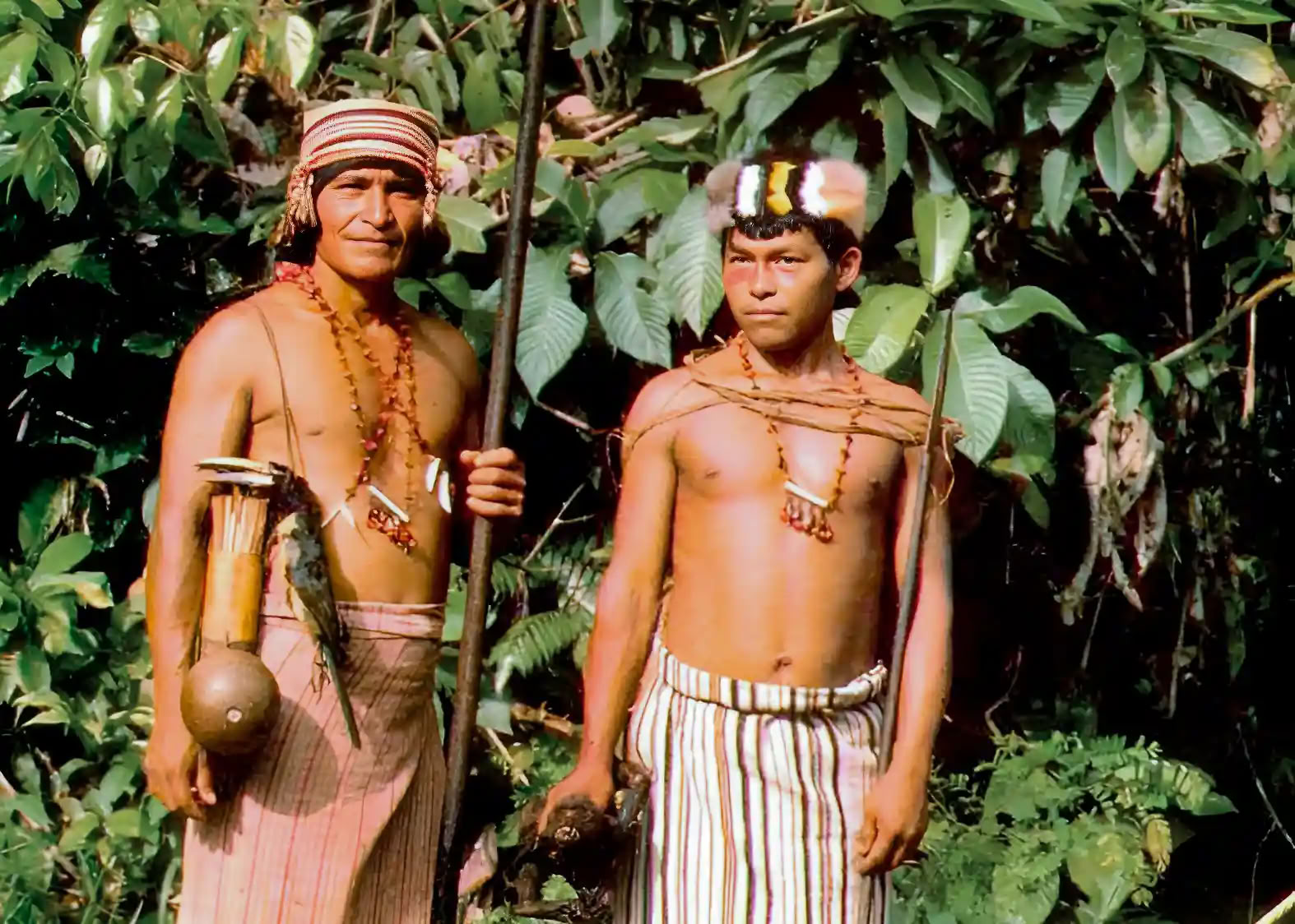 Ayahuasca-initiatieretraite: 7 en 14 dagen – 3-24 februari 2027
