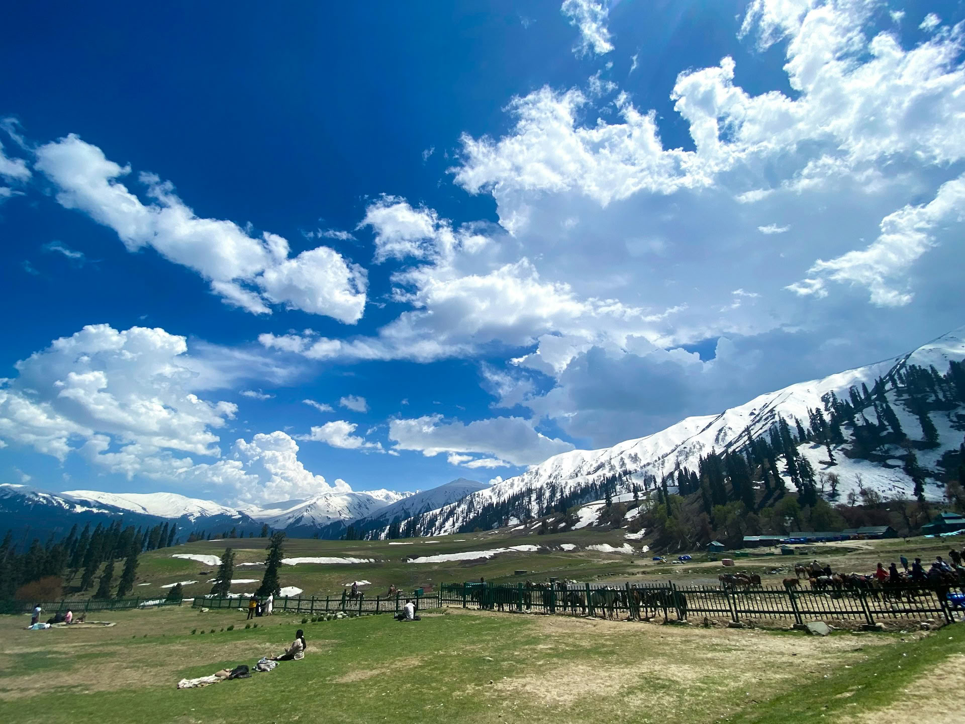 Klassieke ontsnapping in Kashmir: woonboot, weiden en gletsjerlandschappen