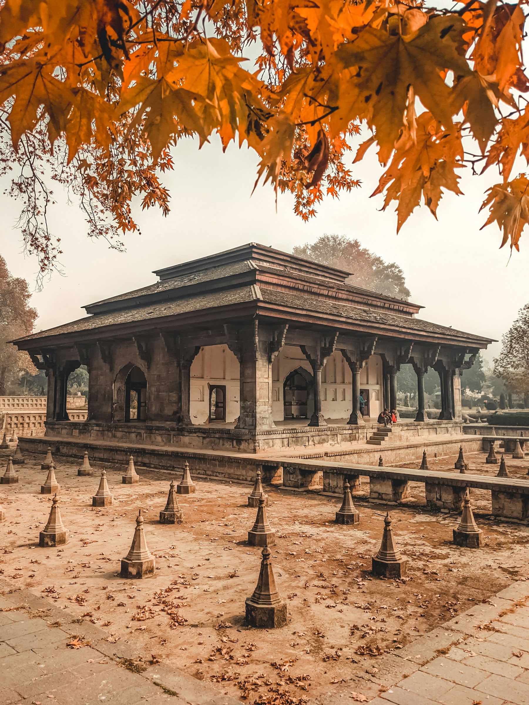 Dal Dreams & Bergdagen: Een Kenmerkende Kashmir-ervaring