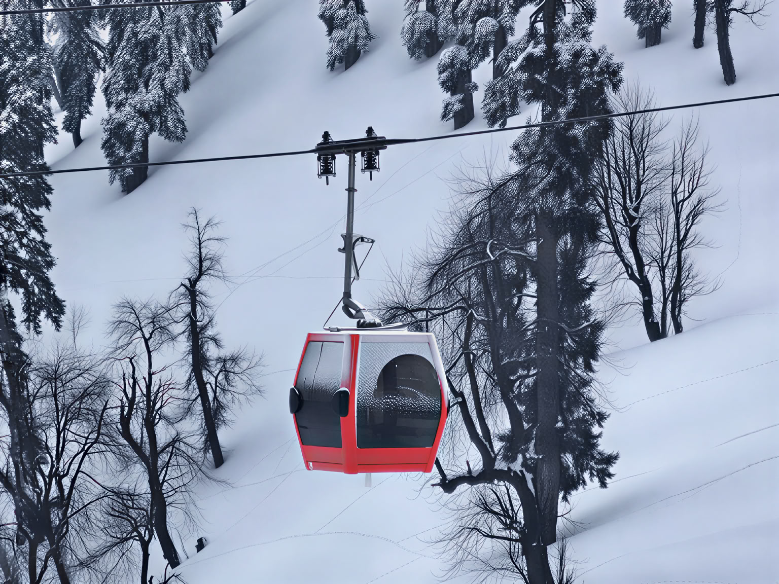 Dal Dreams & Bergdagen: Een Kenmerkende Kashmir-ervaring