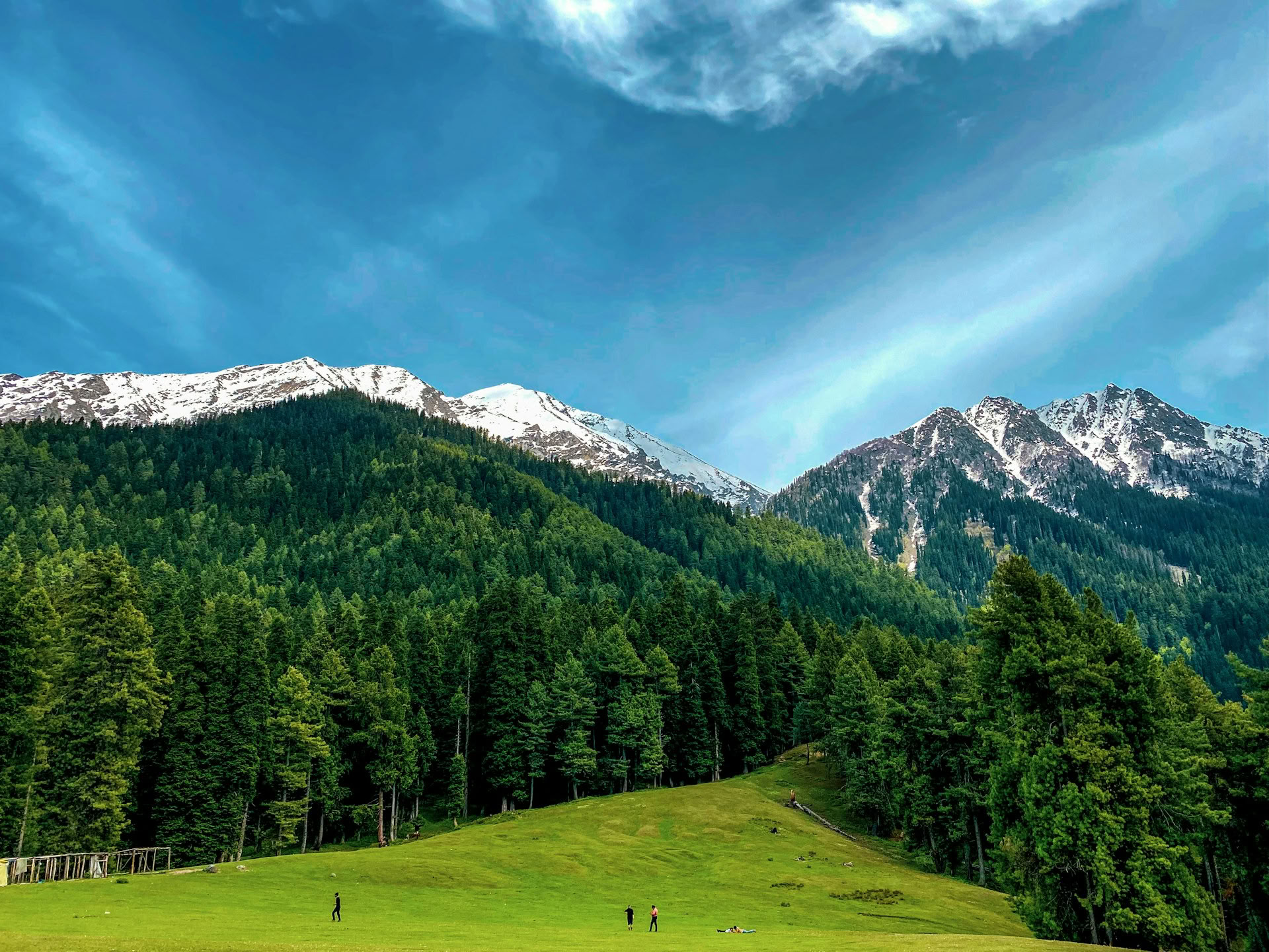 Gouden Weiden: Alpiene Ontsnapping van Srinagar naar Sonmarg