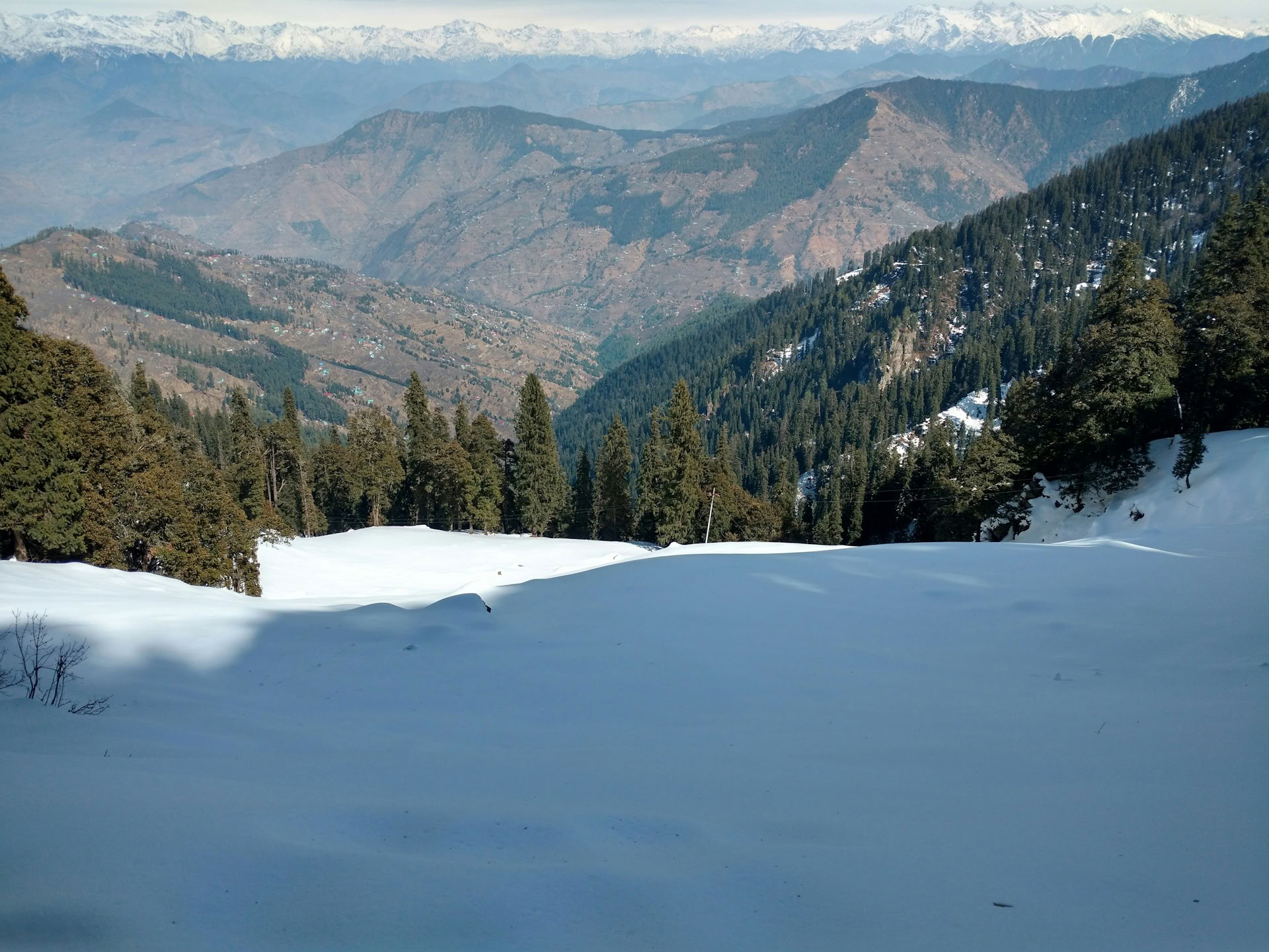 Van boomgaarden naar bospaden: een rustige Himalaya-ontsnapping in Thanedar, Sojha en Tirthan