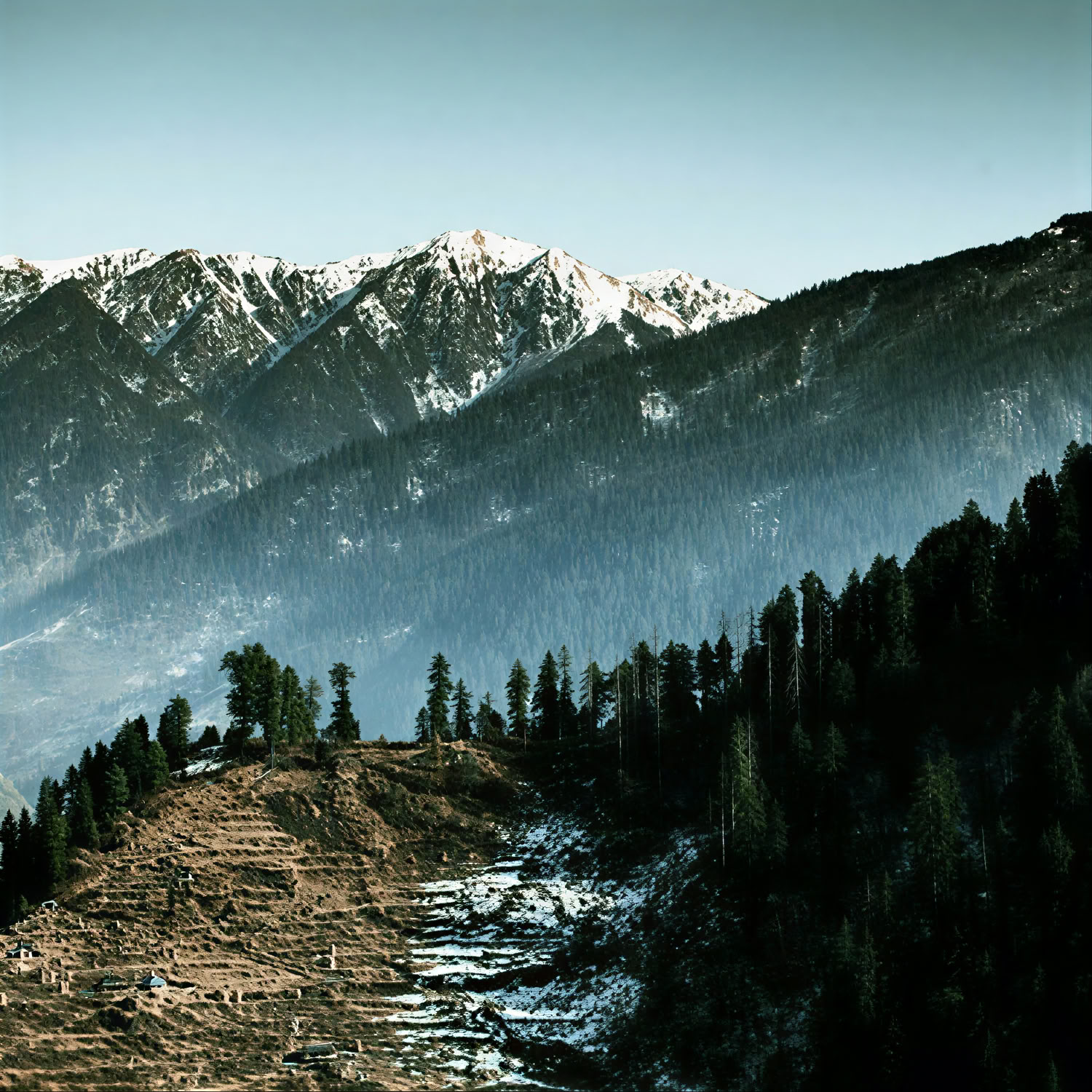 Van boomgaarden naar bospaden: een rustige Himalaya-ontsnapping in Thanedar, Sojha en Tirthan
