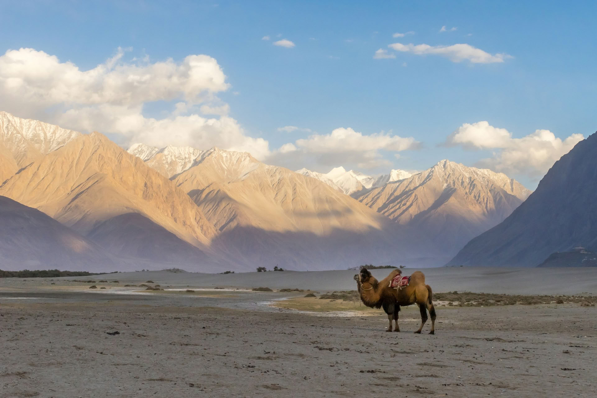 Culturele routes van Ladakh via Zoji La en Turtuk Village