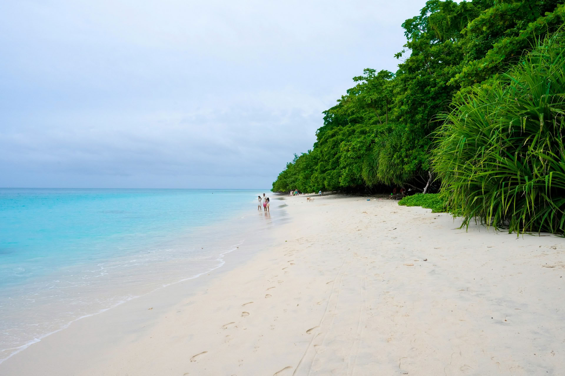 Azure Andaman-uitstap: retraite in Port Blair & Havelock