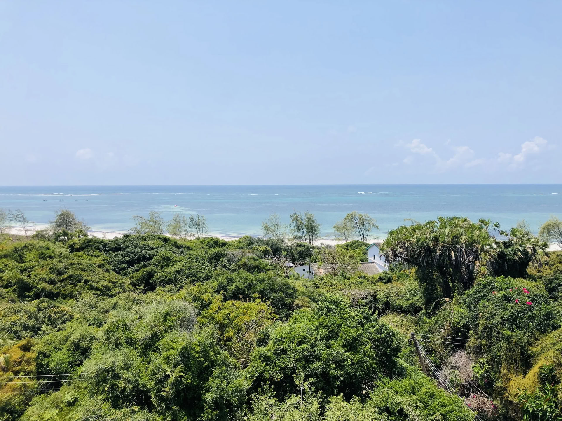 Yoga-retreat in de wildernis — Lotus Love Yoga