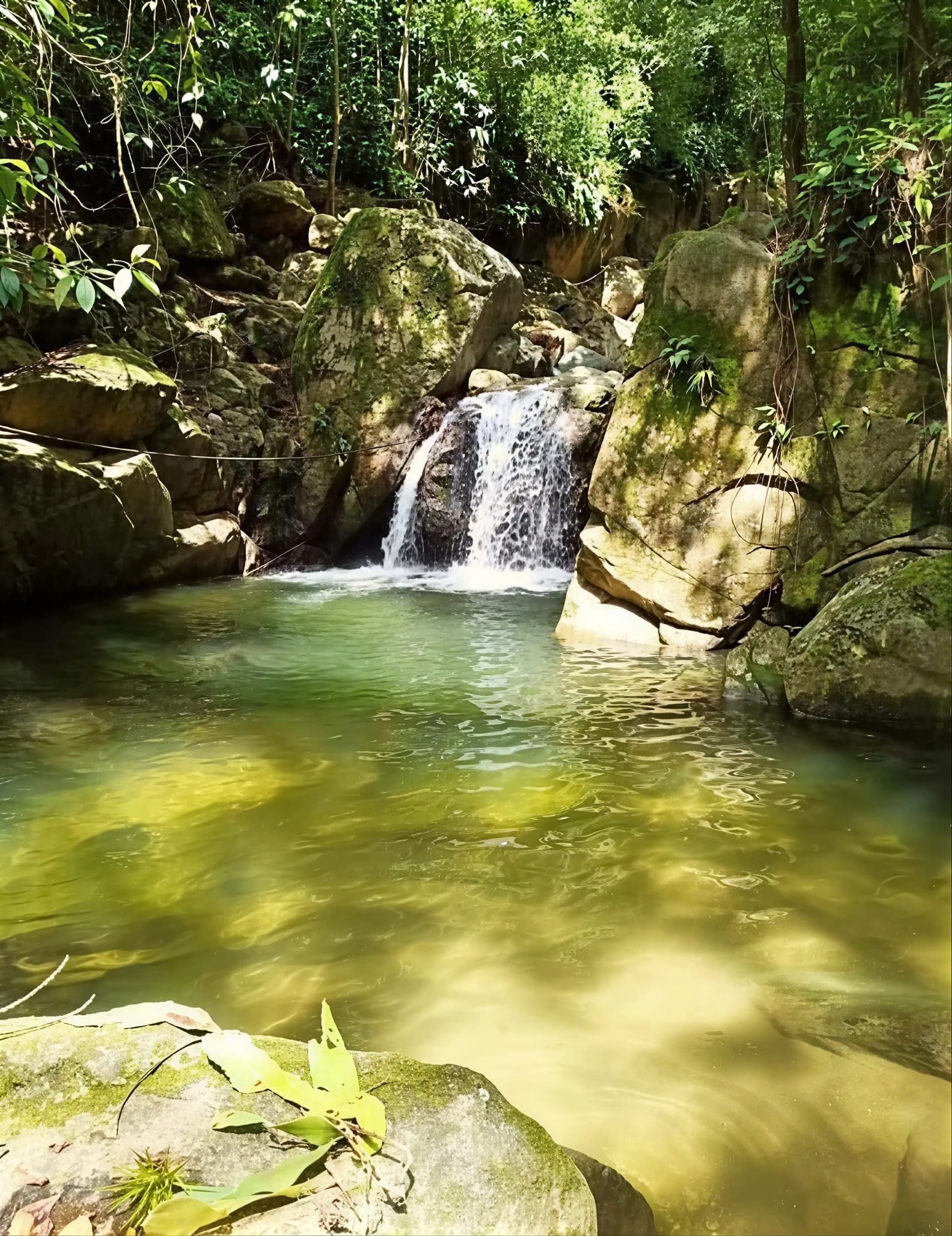 Heilige Ayahuasca-retraite in Santa Marta, Colombia