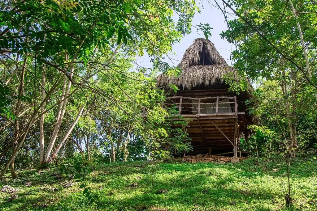 Heilige Ayahuasca-retraite in Santa Marta, Colombia