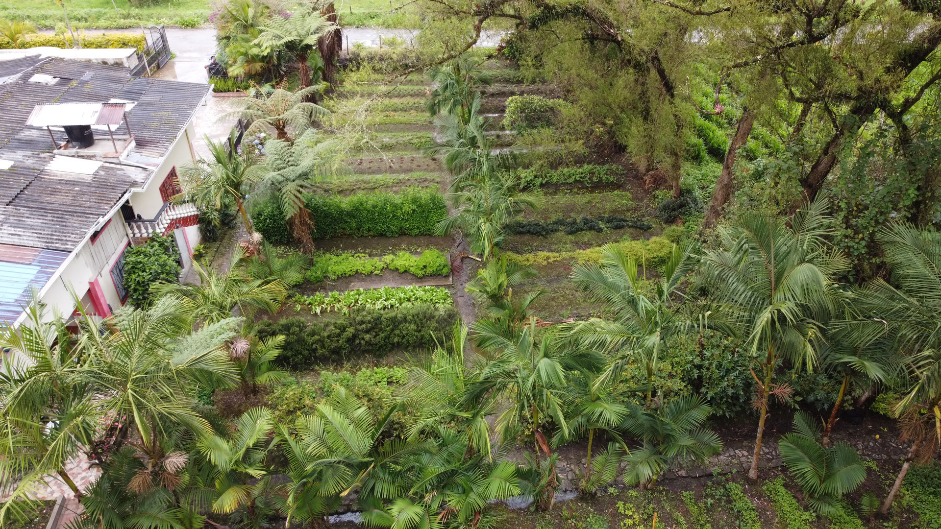Heilige Ayahuasca-retraite in Santa Marta, Colombia