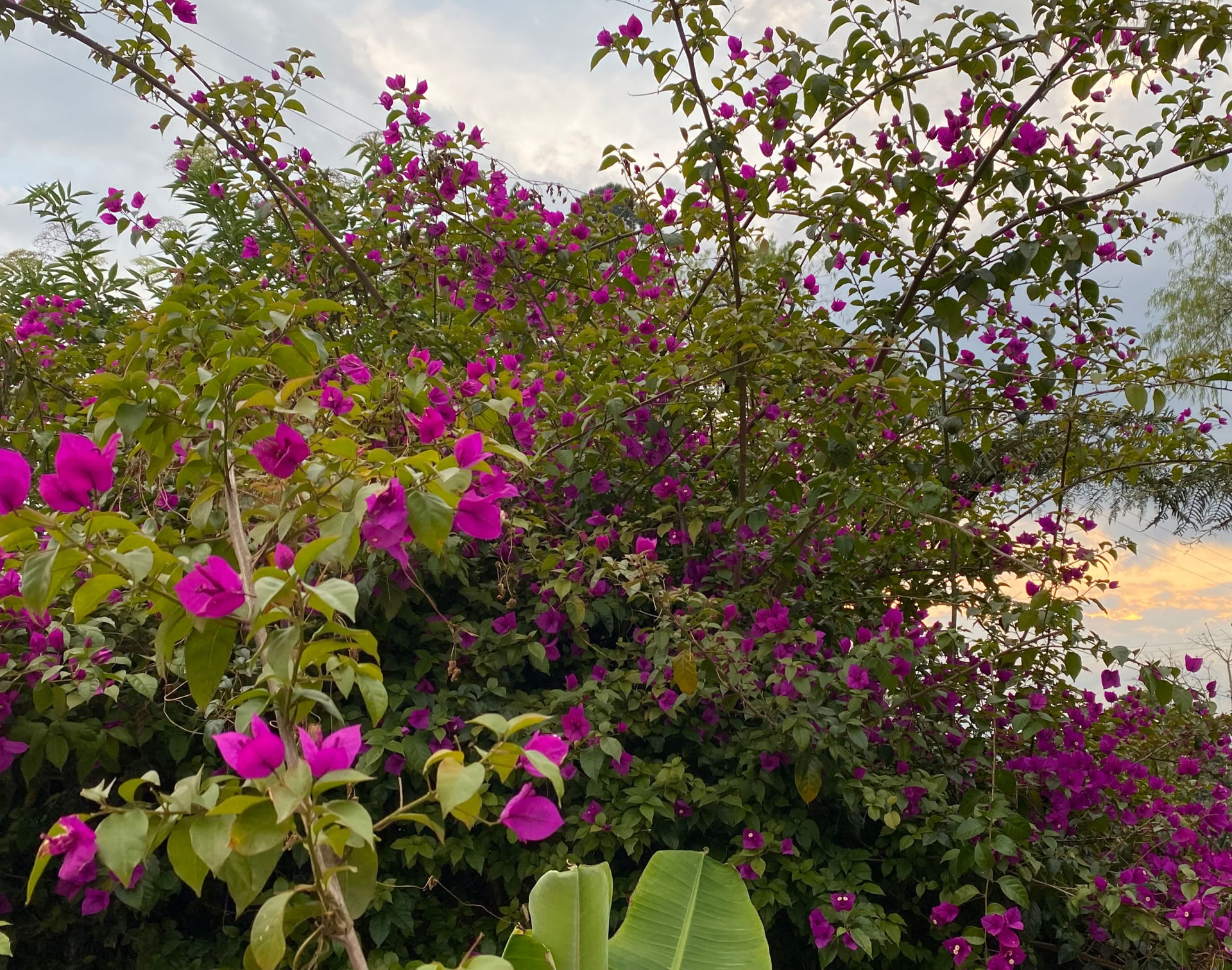 Heilige Ayahuasca-retraite in Santa Marta, Colombia