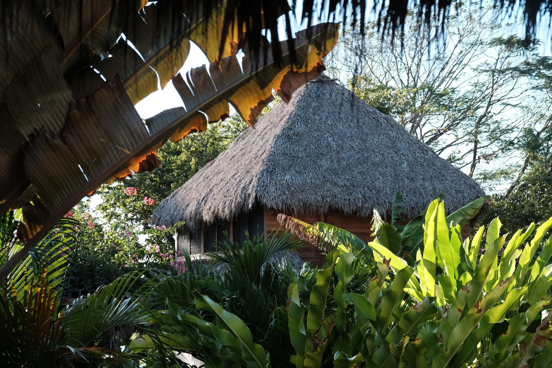 Sol Space Yoga Retraite