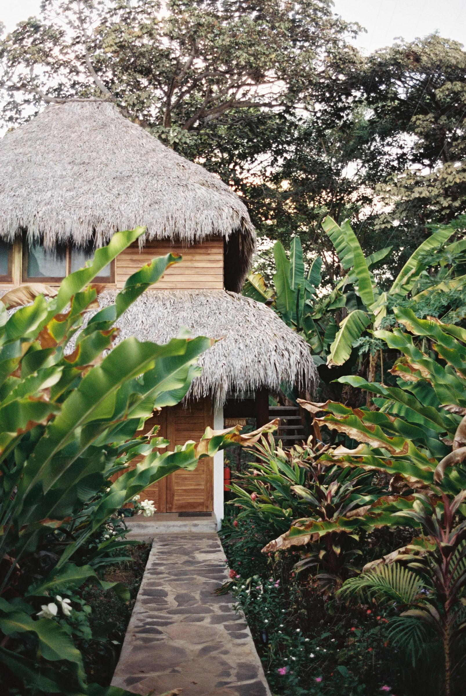 Yoga-retraite in het wilde Nicaragua