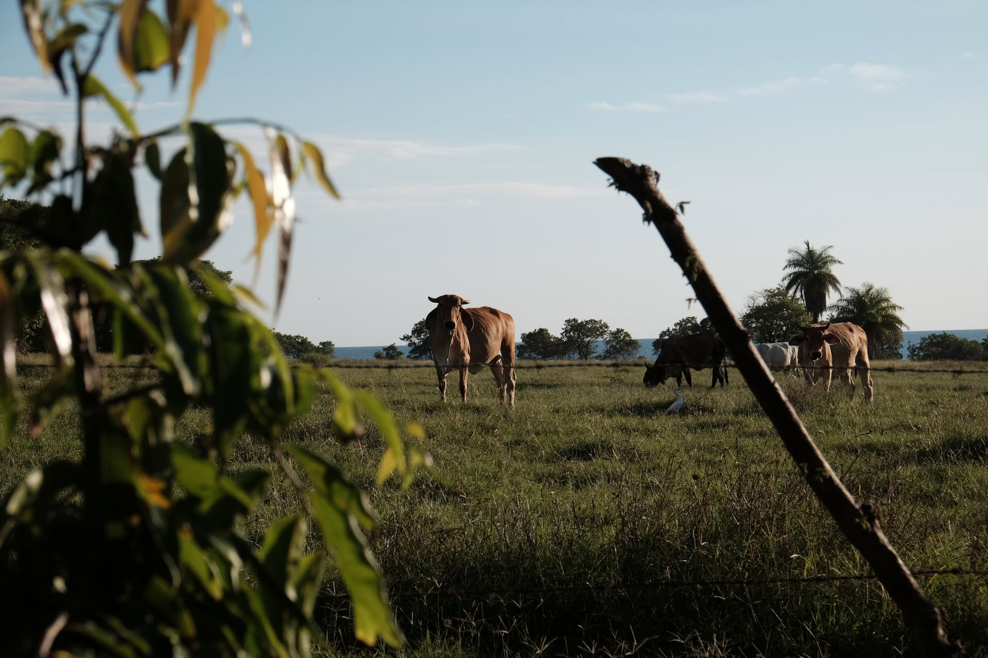 Retraite voor zelfontdekking in Sintra, Portugal