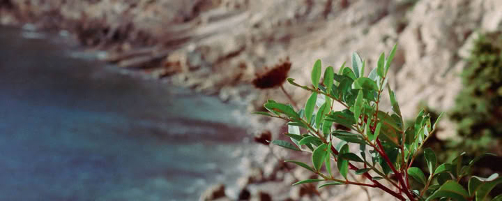 Mix & ontmoet halve dag retraite Ibiza